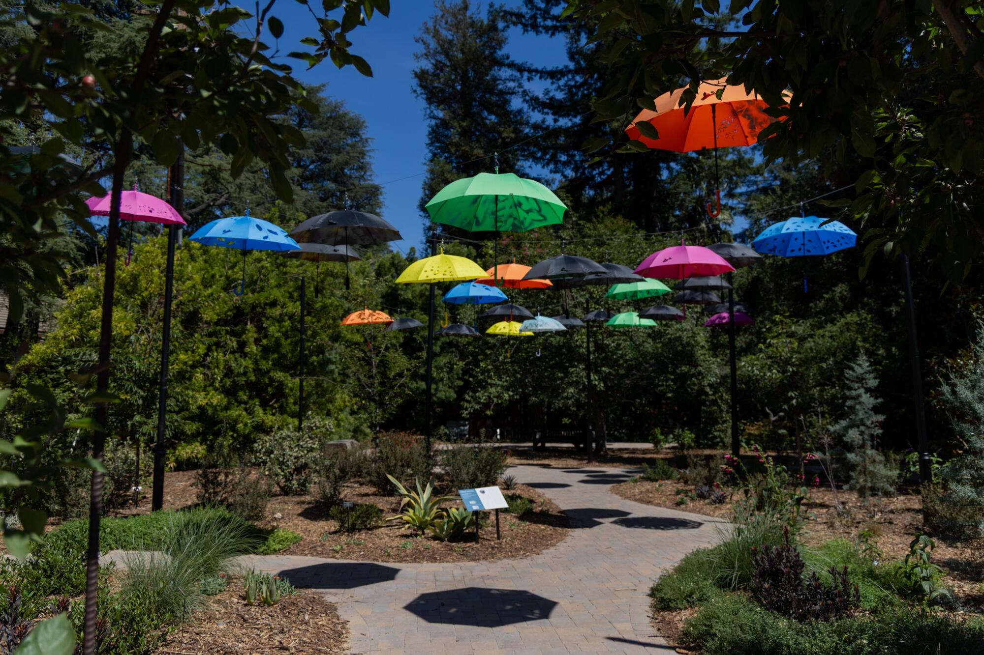 Artist Chantee Benefield's "Cool Canopy" for exhibition "Roots of Cool: A Celebration of Trees and Shade in a Warming World" 