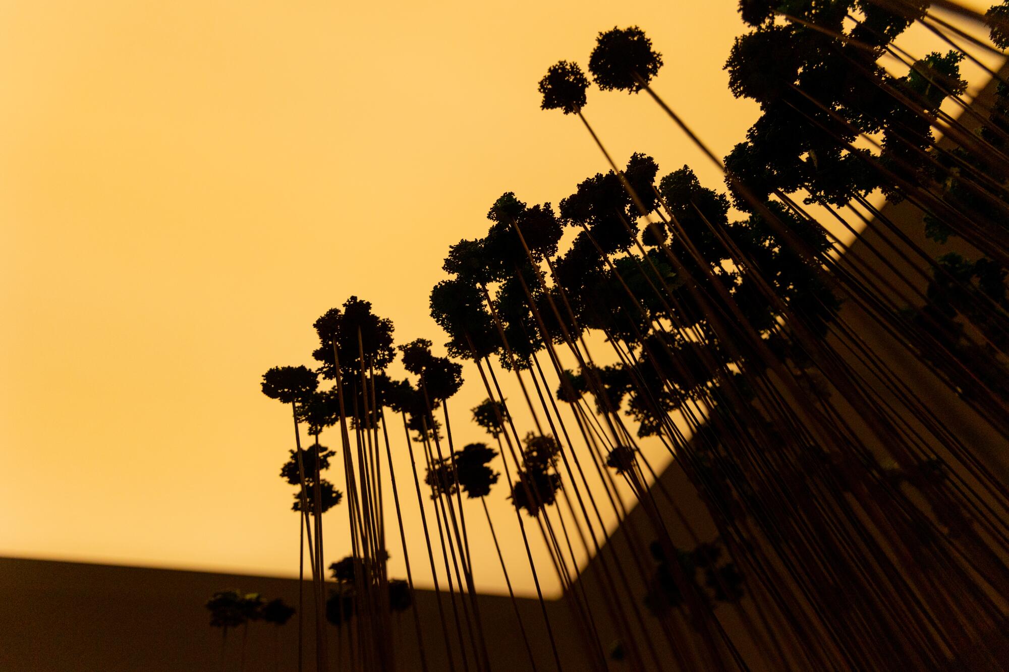 Artist Kim Abeles' piece "Looking for Paradise (Downtown Los Angeles) 