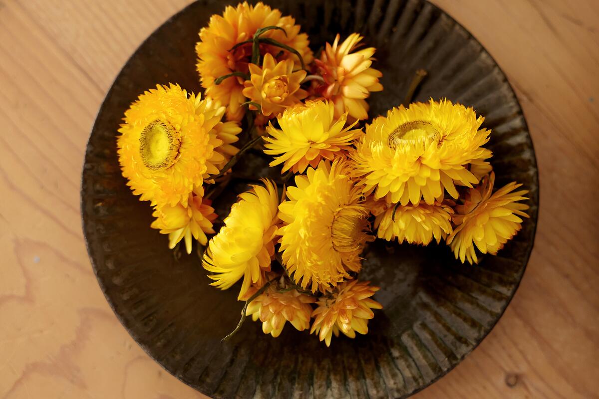 Dried yellow flowers rest on a brown ceramic bowl 