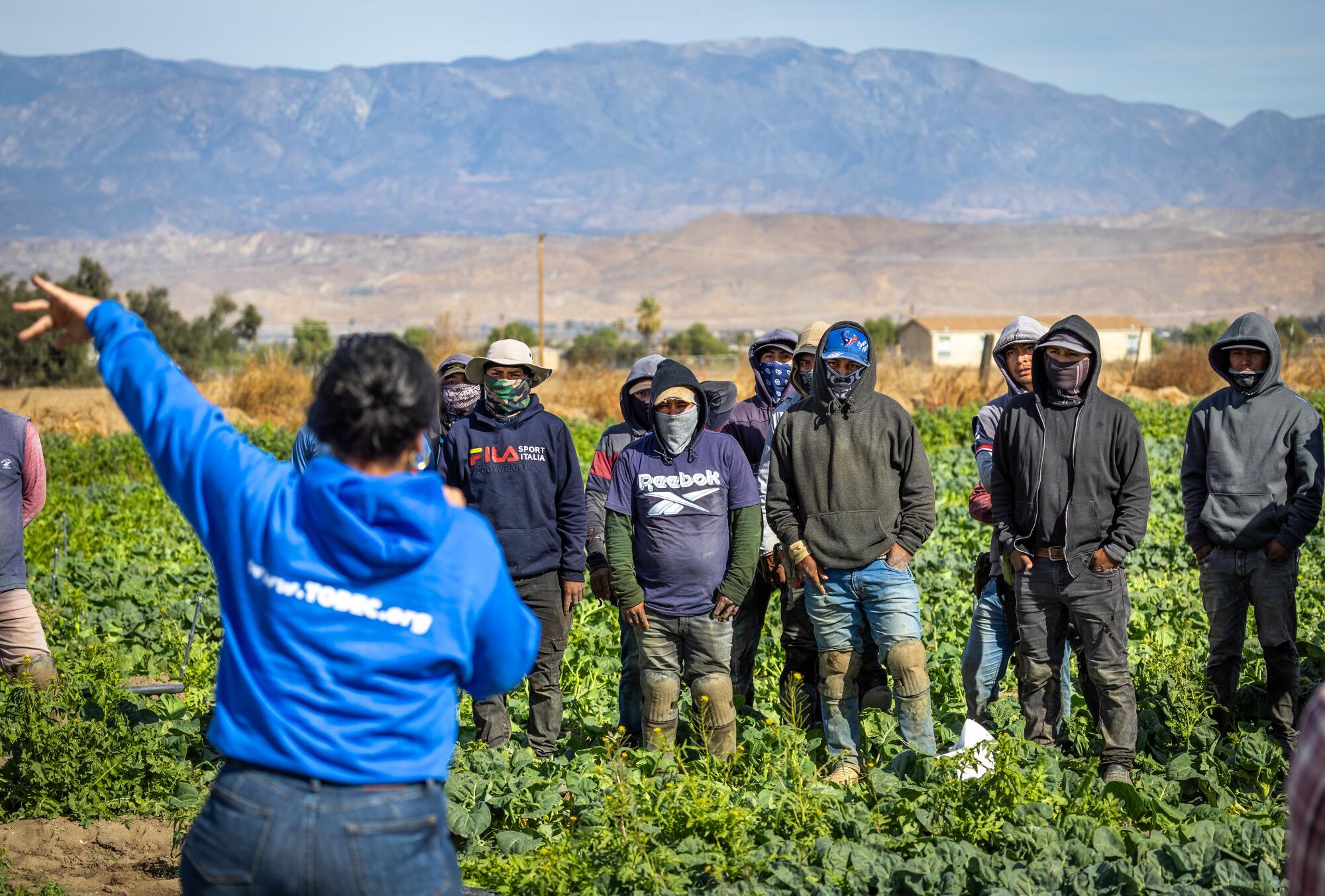 Farmworkers listening to a woman in a field in San Jacinto