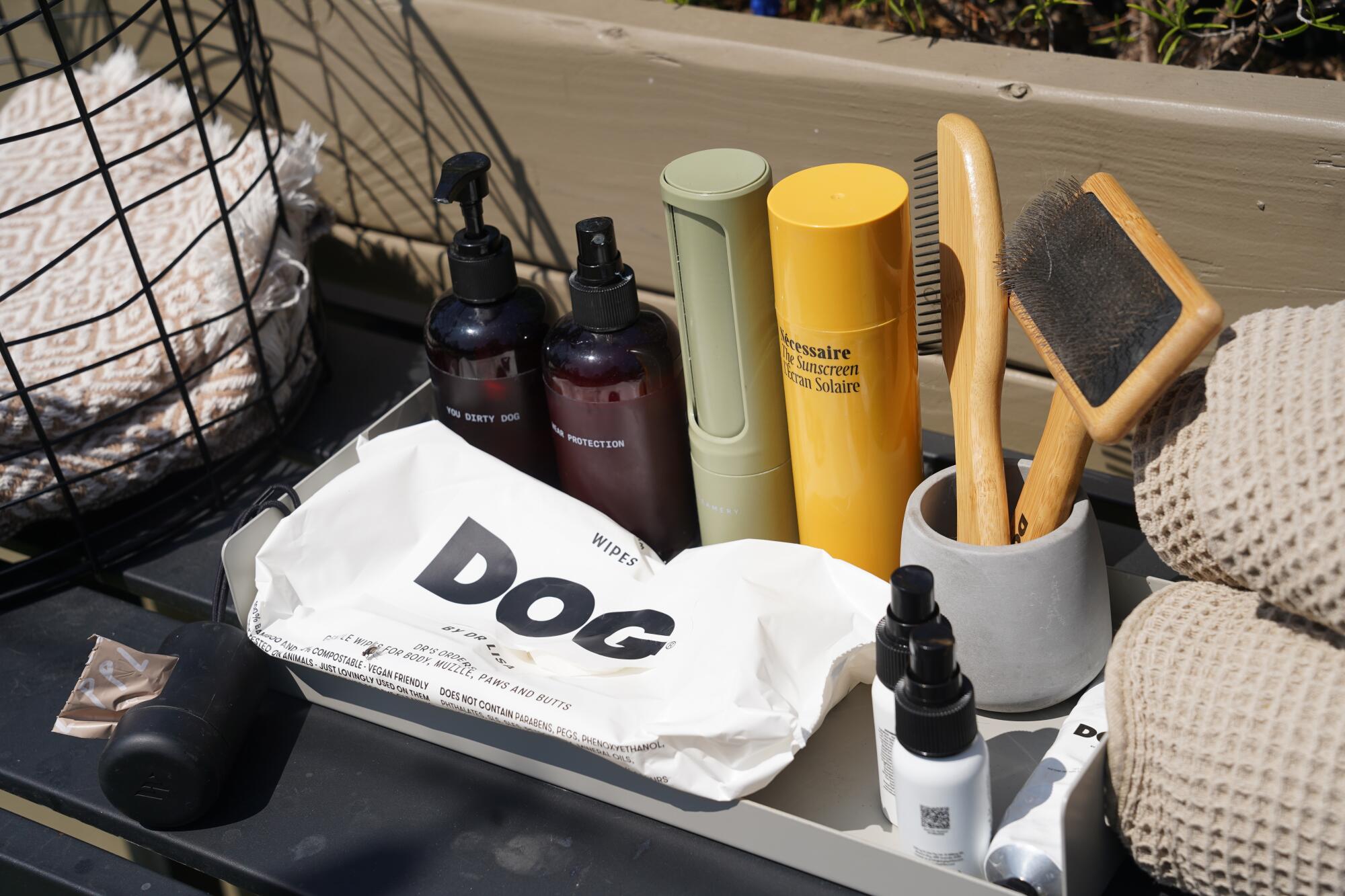 The amenities table at Dog PPL includes dog sunscreen, towels and fresh water.
