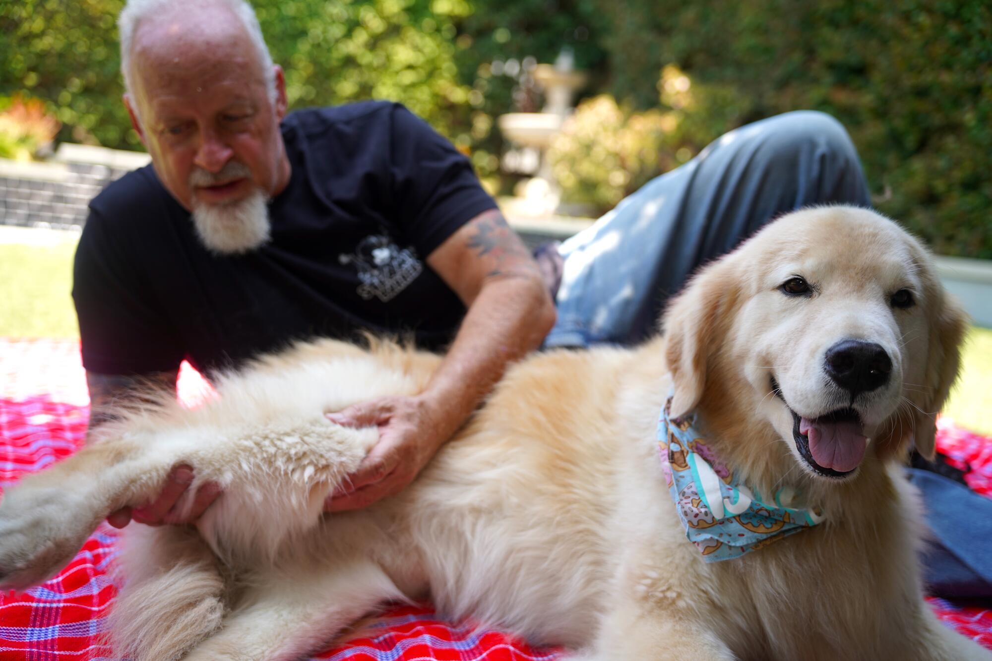 A man massages a dog on a pink plaid blanket. 