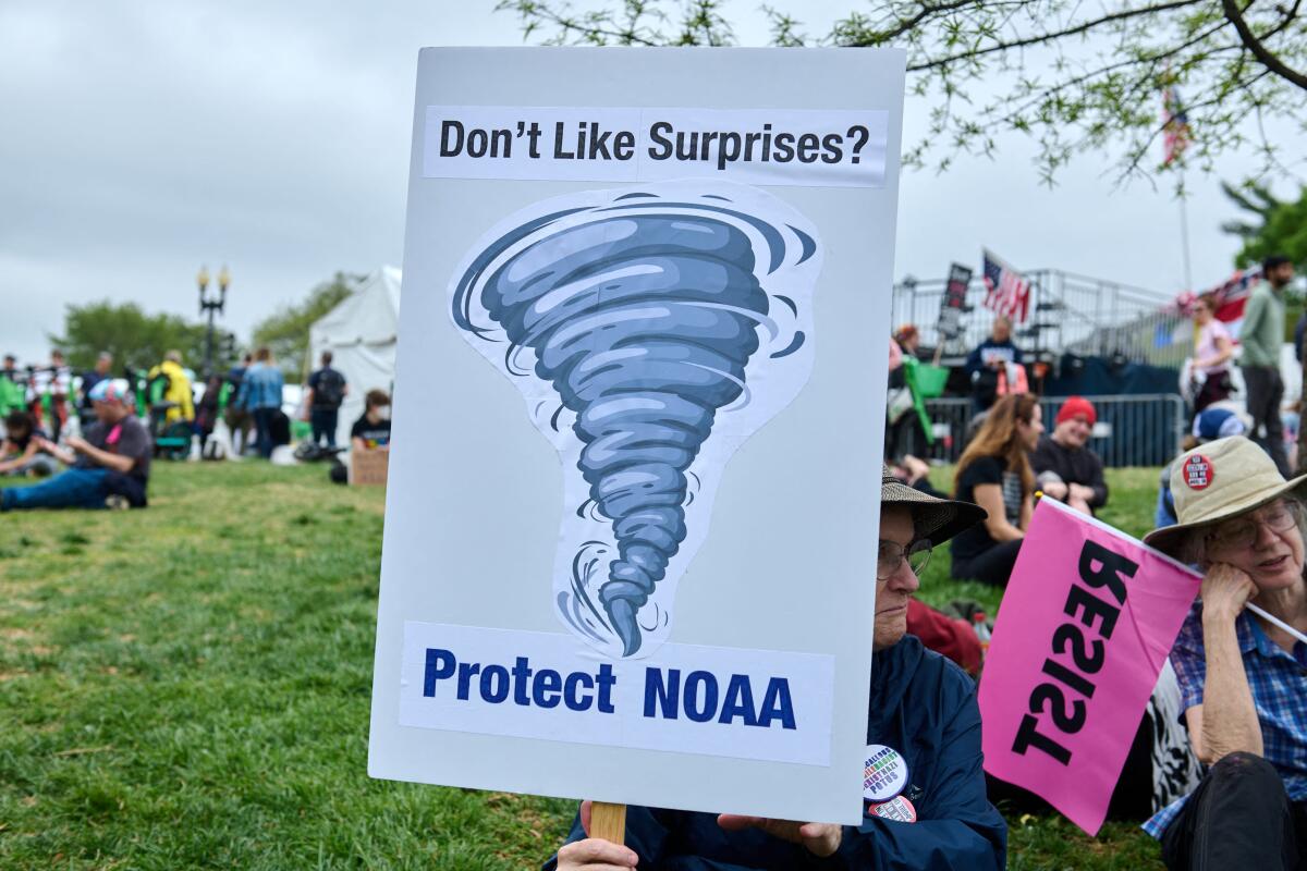 A gathering at the National Mall for the "Hands-Off" protest
