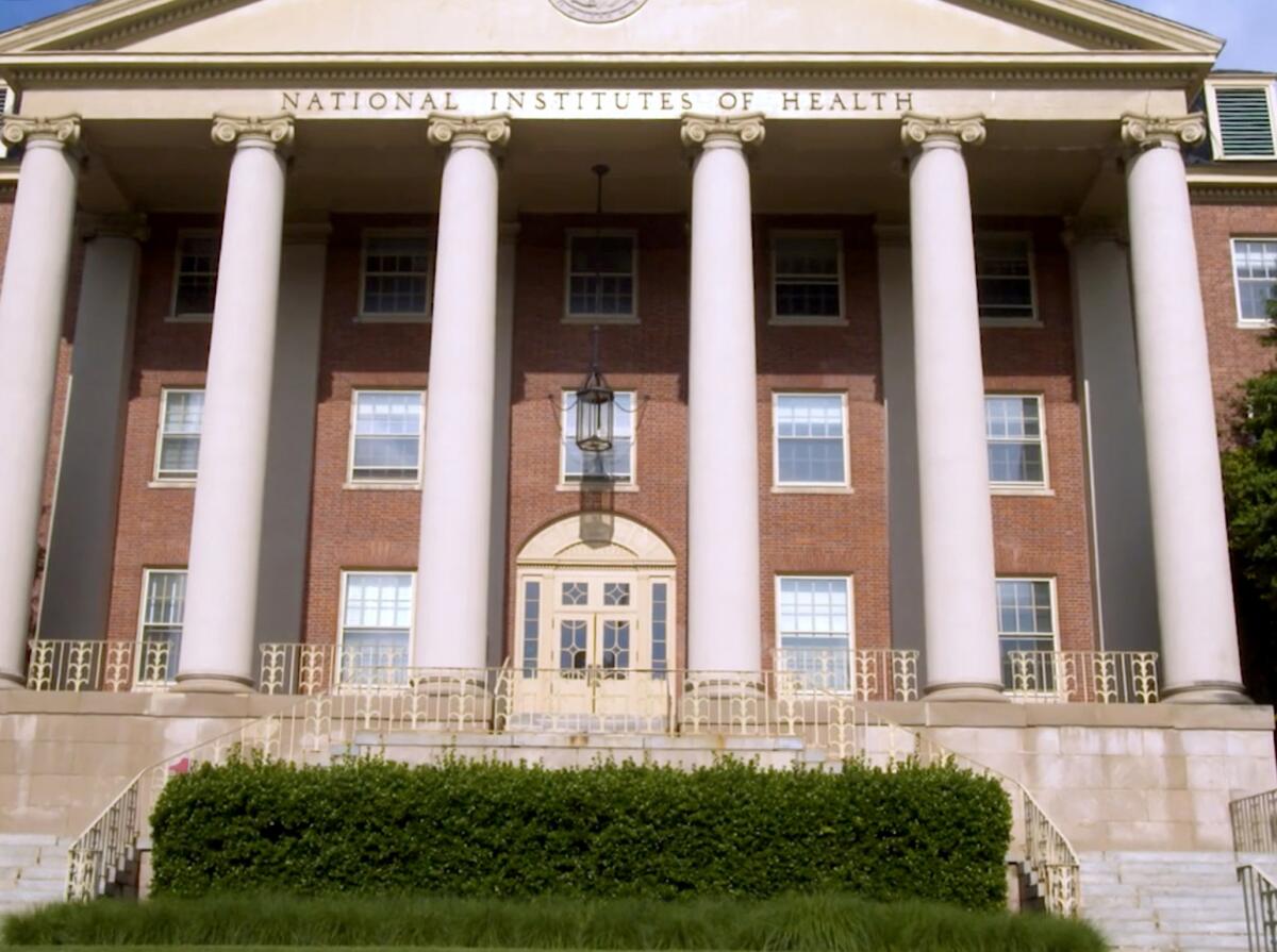 NIH budget cuts threaten the future of biomedical research — and the young scientists behind it