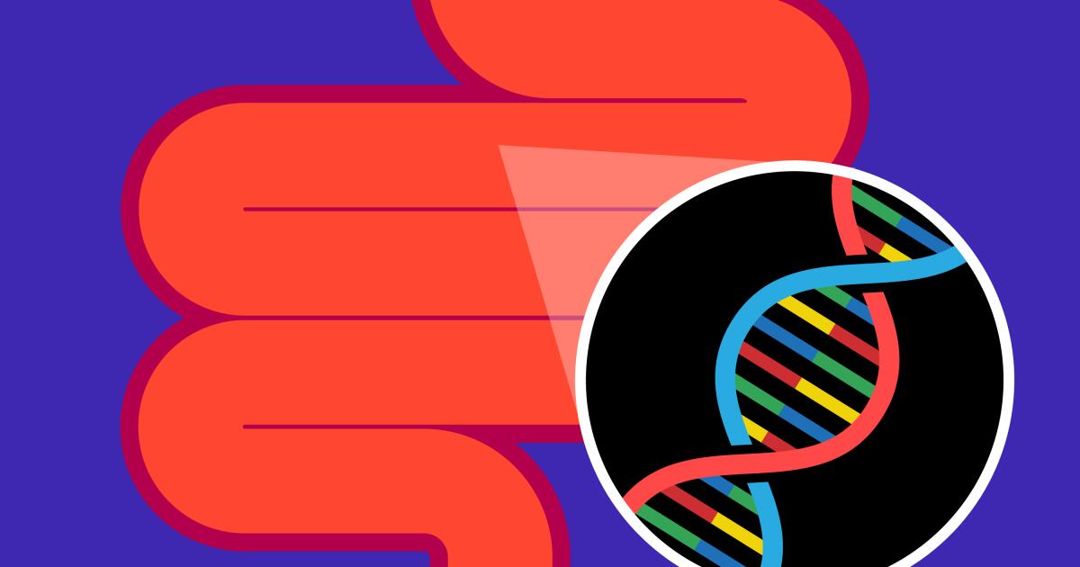 Researchers find a link between gut bacteria and genes in colitis flare-ups