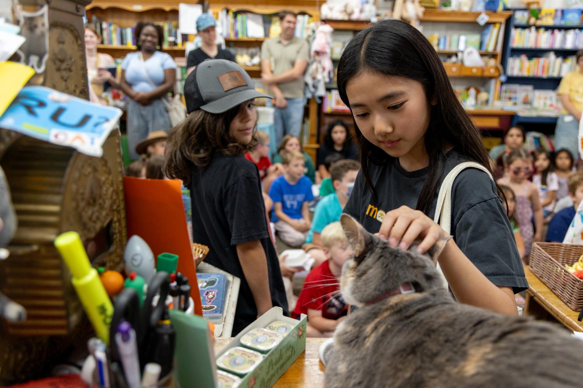Chloe Oh, 11, pets Pippi the Cat, seated at checkout counter