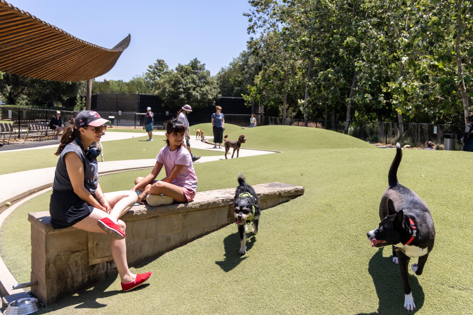 Arielle Bernstein and Valentina Mohrdar, 9, watch dogs socialize at Bluff Creek Dog Park.