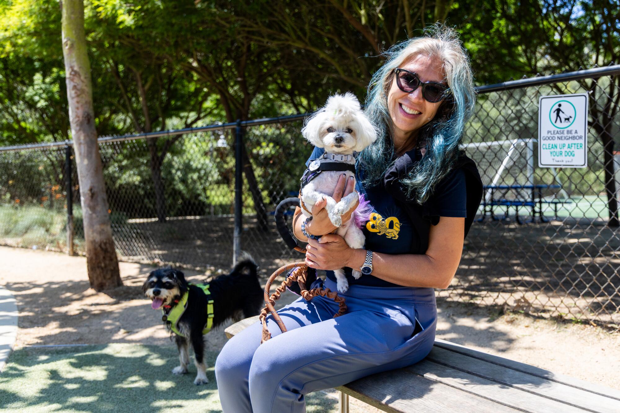 Mini sits on Tina Khorram's lap at Bluff Creek Dog Park.