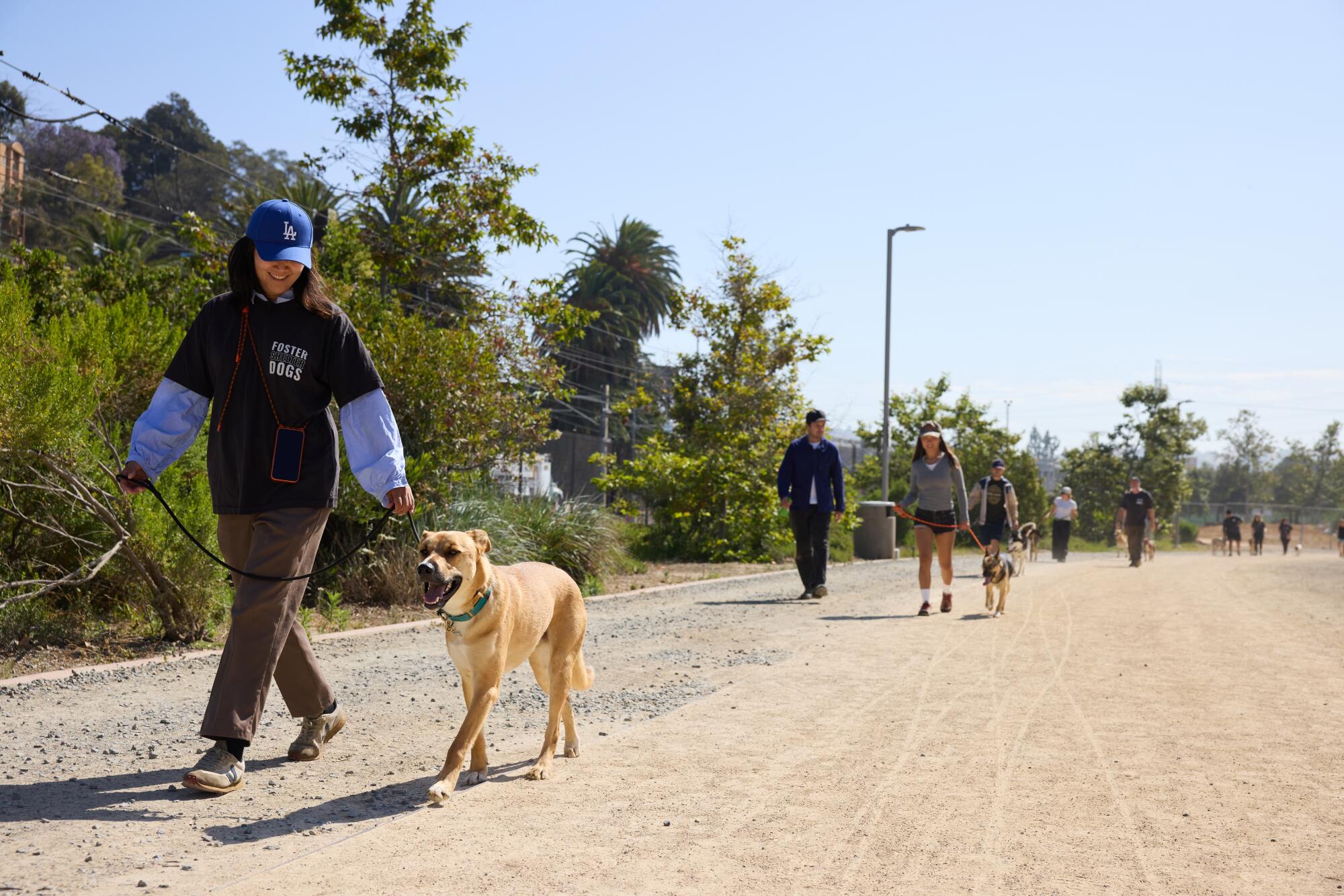 A woman wearing a hat walks a blonde dog.