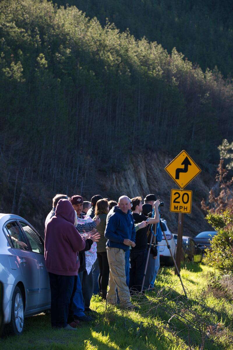 People gather to watch SpaceX successfully launch a Falcon 9 rocket from Vandenberg Air Force Base.