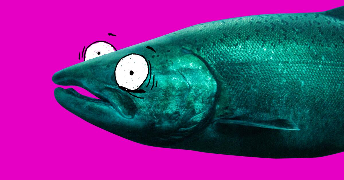 Are salmon sperm facials really good for your skin?