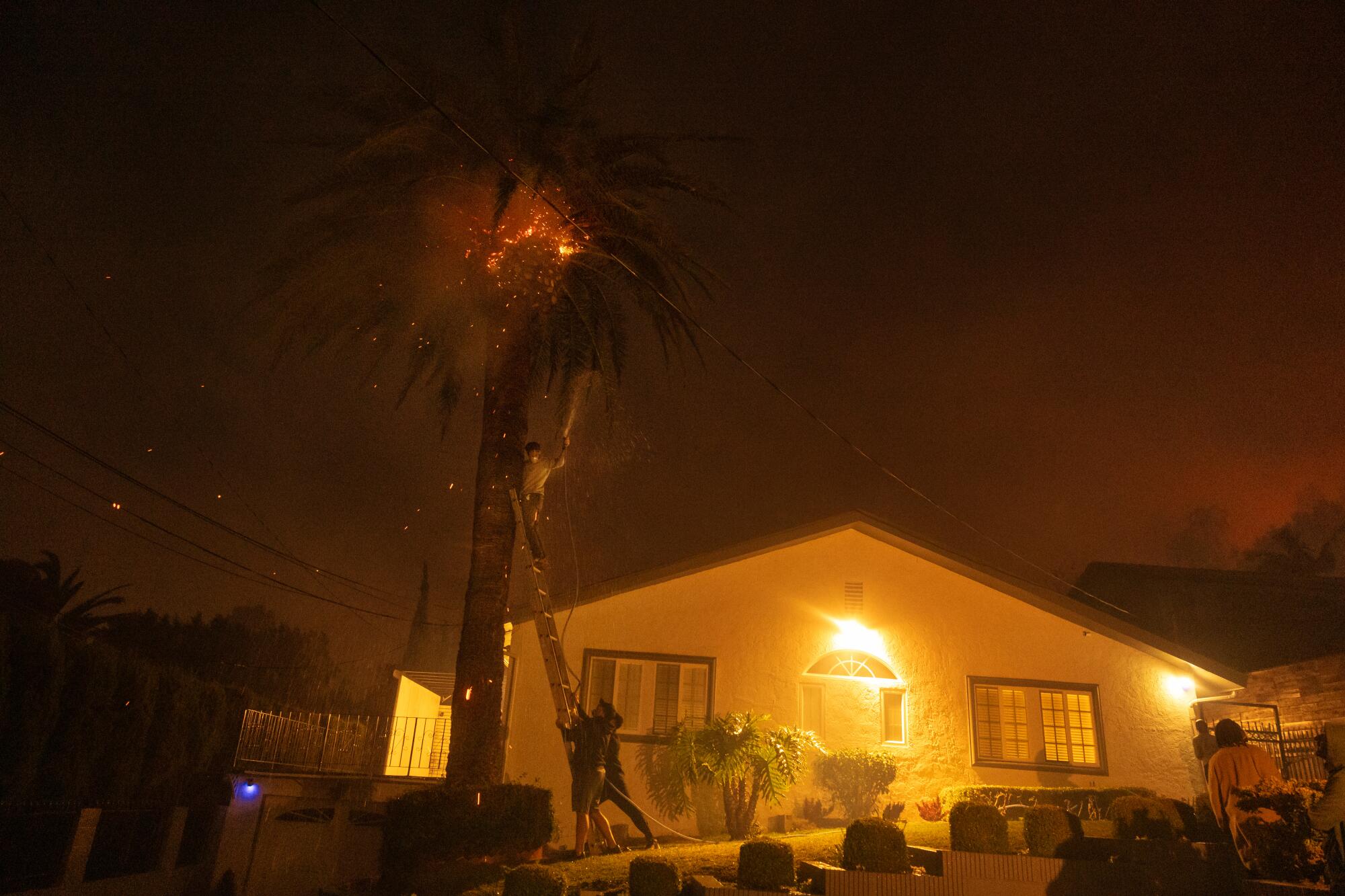 A person standing on a ladder leaning against a palm tree, aiming a hose at flaming fronds, outside a home