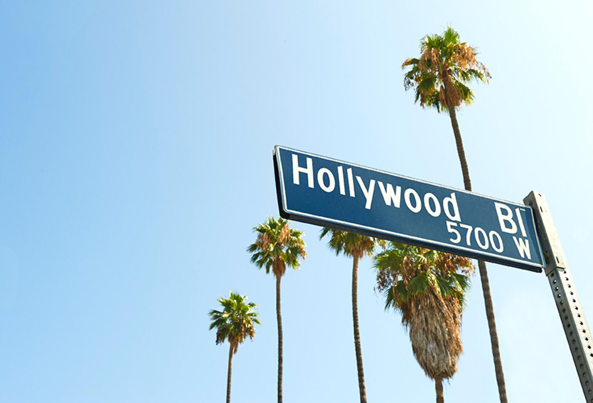 A Hollywood Boulevard street sign with palm trees in the background