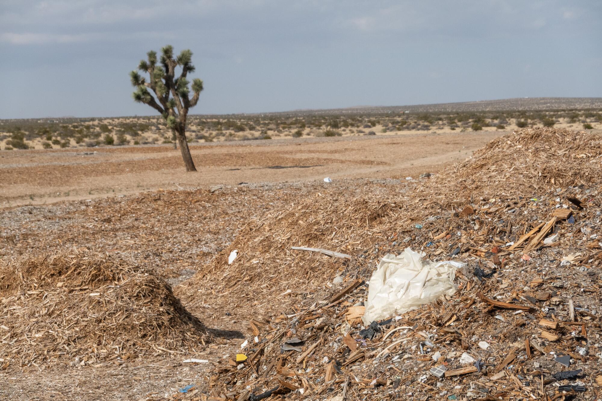 A location south of East Avenue M in Lake Los Angeles holds mulch, trash and construction debris.