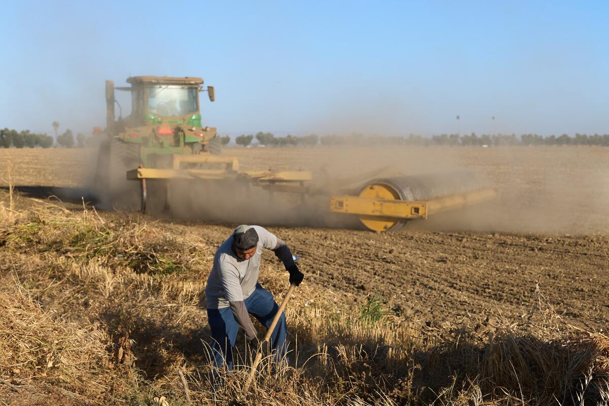 A farmworker clear brush from a farm irrigation channel