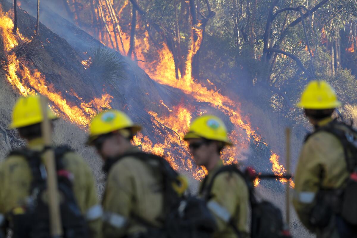 Fire fighters kept an eye on the wild fire burning behind Olive View Medical Center