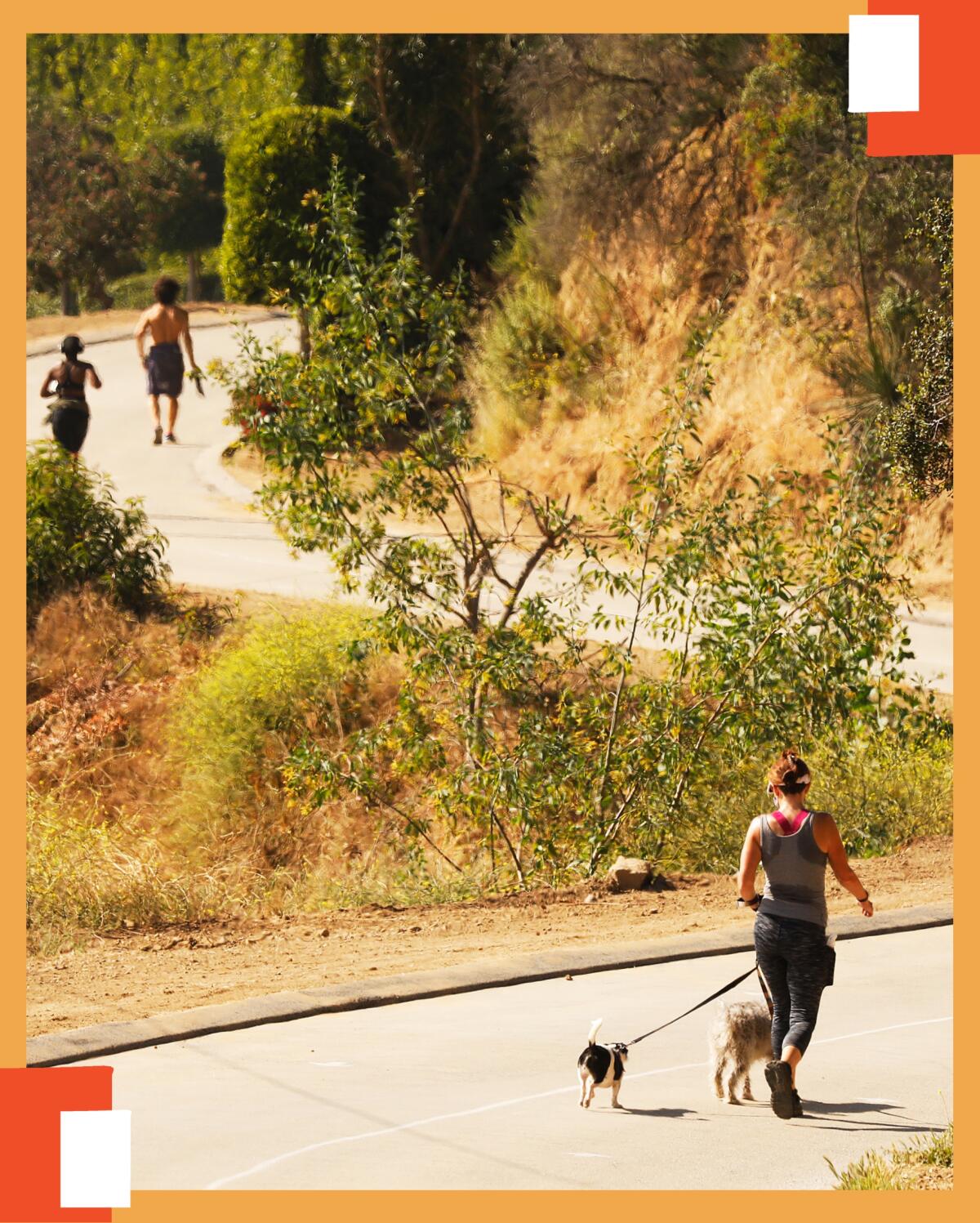 Hikers enjoy Runyon Canyon Park near the North entrance on Mulholland Drive in the Hollywood hills 
