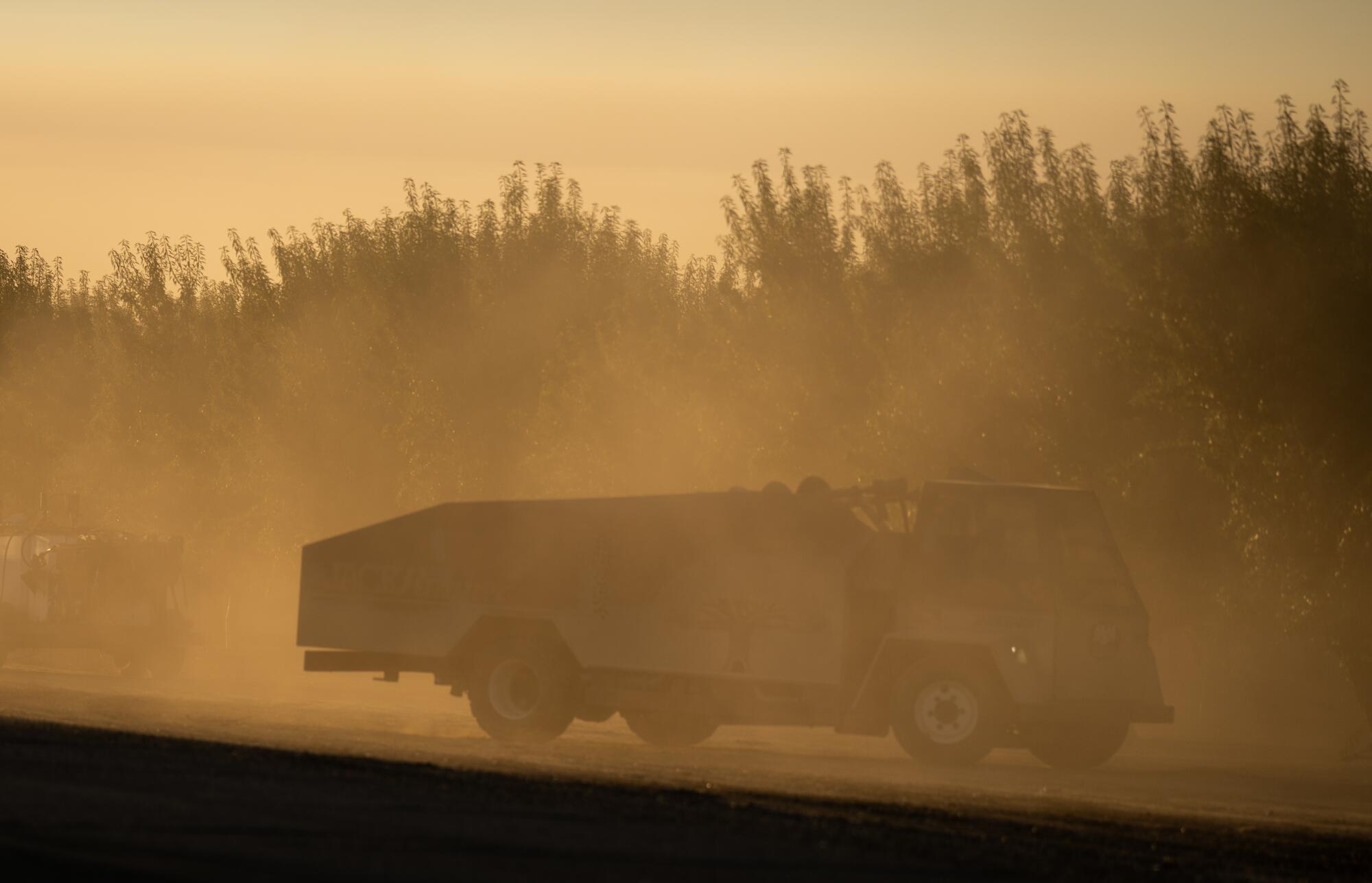 An agricultural truck kicks up dust in an orchard in Cantua Creek.