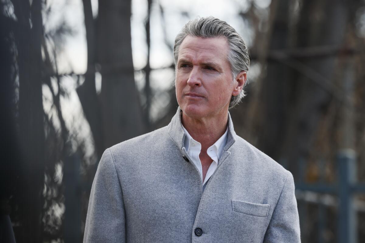 Researchers call on Newsom to pay for post-fire soil testing in Los Angeles County