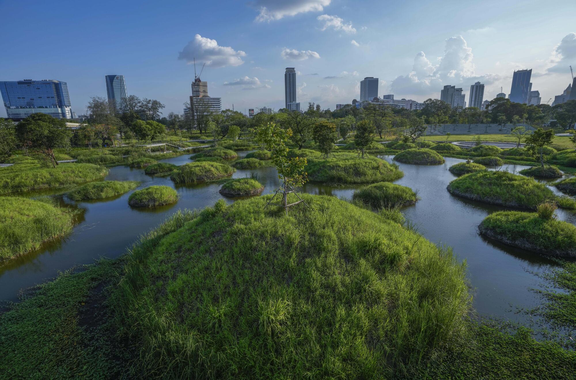 The park's long system of wetlands contains thickets of aquatic plants that remove pollutants from the water.