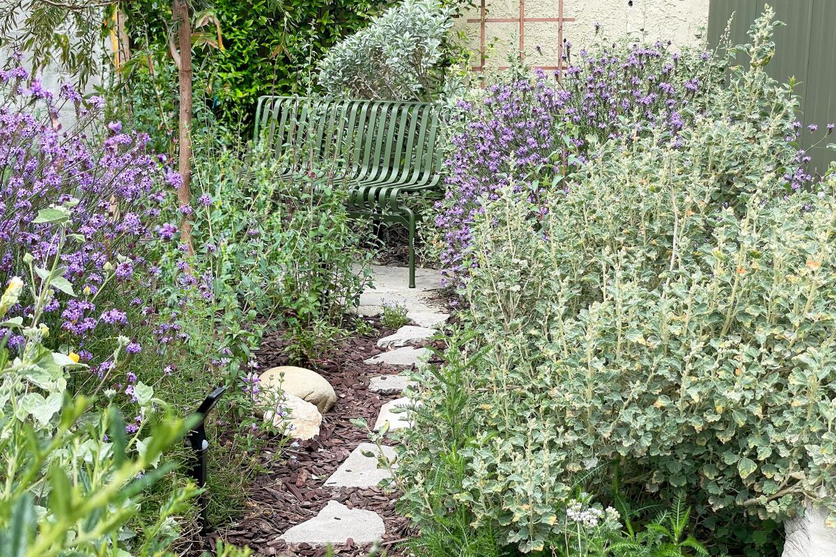A green bench in a garden filled with native plants.