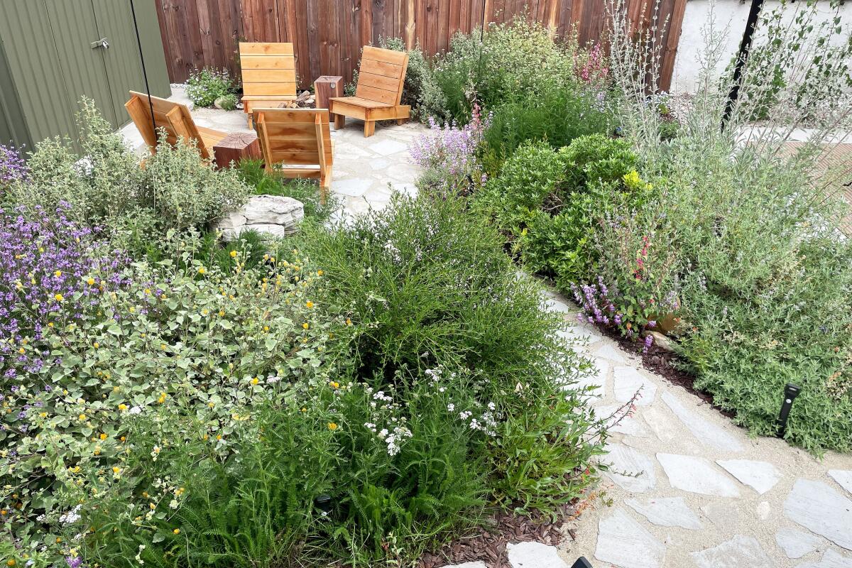 Two chairs sit in a garden filled with native plants and concrete paths.