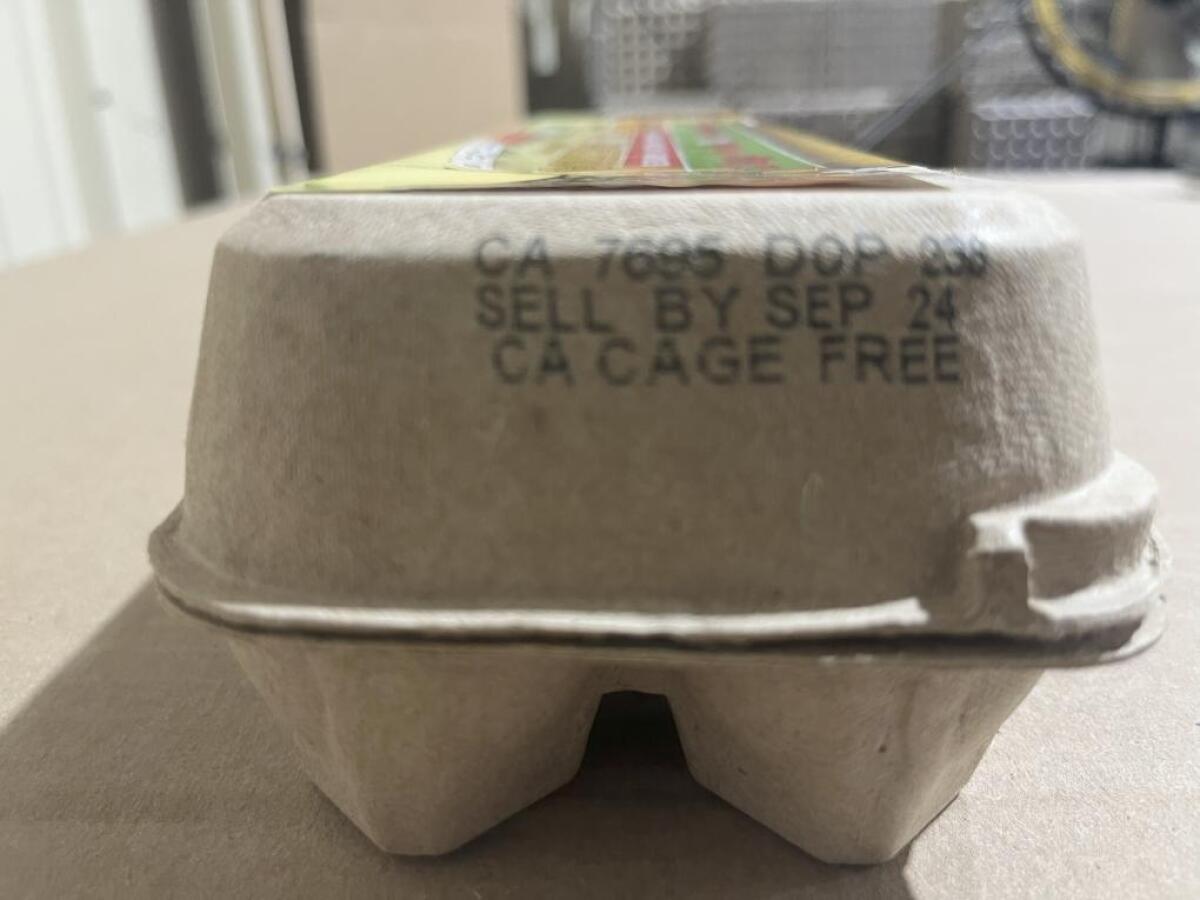 Closeup of an egg carton.