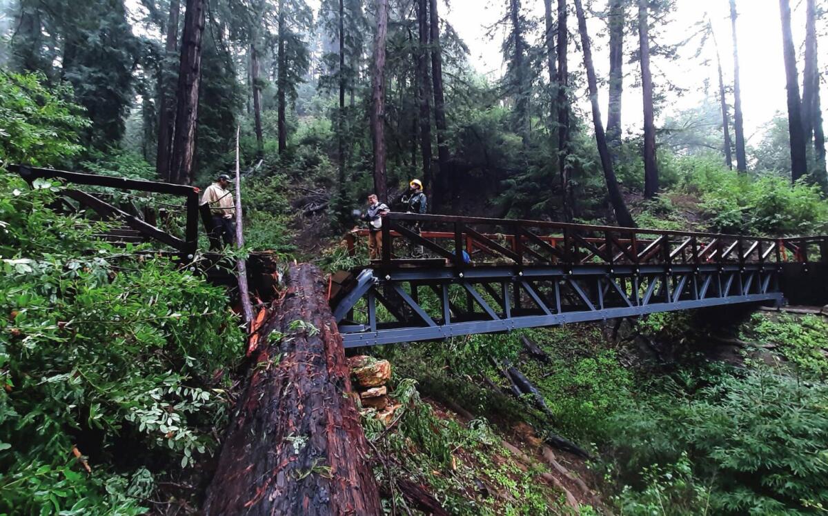 The Pfeiffer Falls Bridge in 2023 after a fallen tree damaged the structure