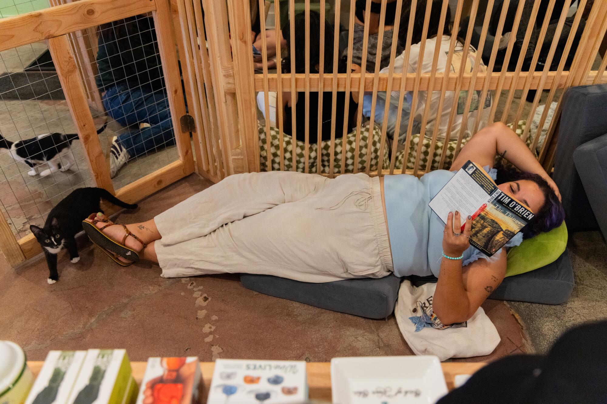 Enjoy your fiction in the company of foster cats at this Long Beach boutique