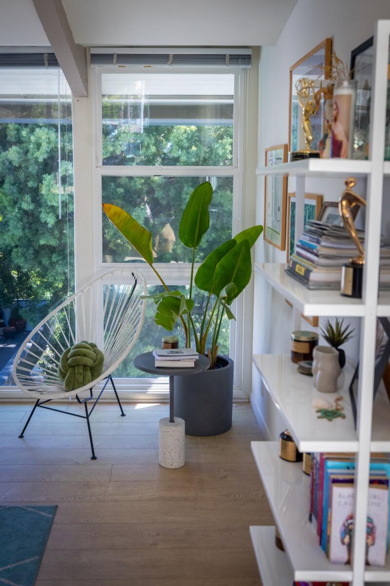 A bookshelf, plant and window overlooking a courtyard