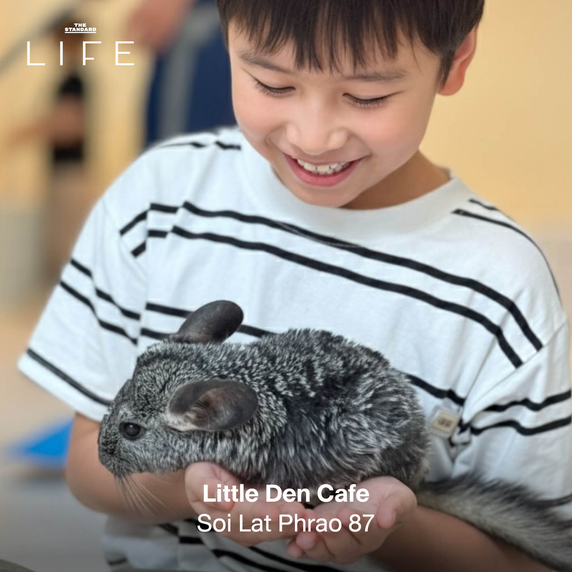 ครอบครัวกำลังเพลิดเพลินกับกิจกรรมหลากหลาย ณ สถานที่แฮงก์เอาต์สำหรับแม่และเด็ก 6