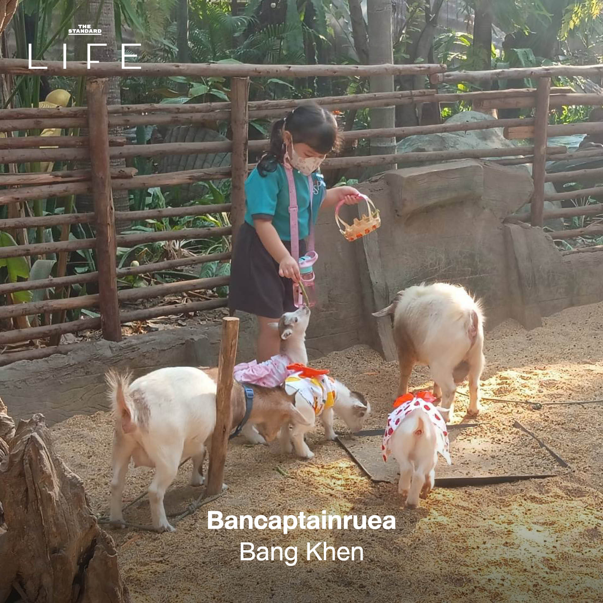 ครอบครัวกำลังเพลิดเพลินกับกิจกรรมหลากหลาย ณ สถานที่แฮงก์เอาต์สำหรับแม่และเด็ก 7