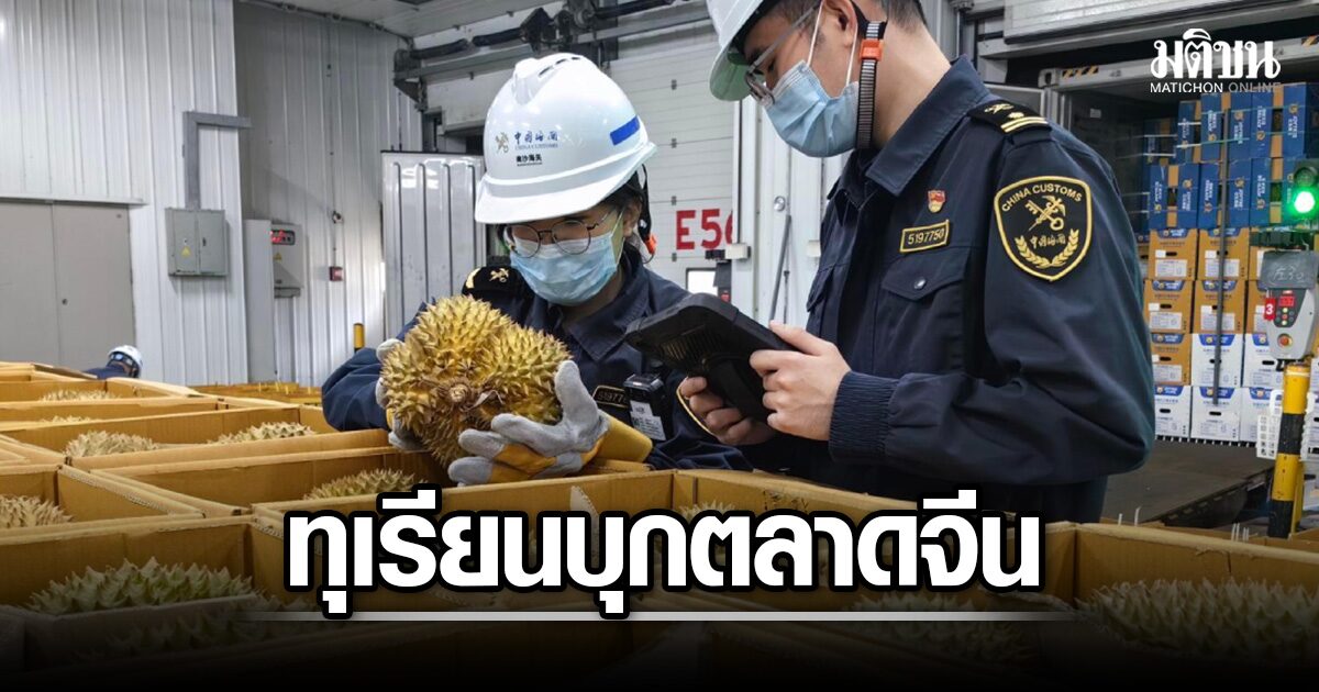 12 วัน ทุเรียนสดจากไทย เข้าจีนแล้วเกือบหมื่นตัน หนานซาเตรียมจัดงาน เทียบท่าเปิดตู้ขายทันที
