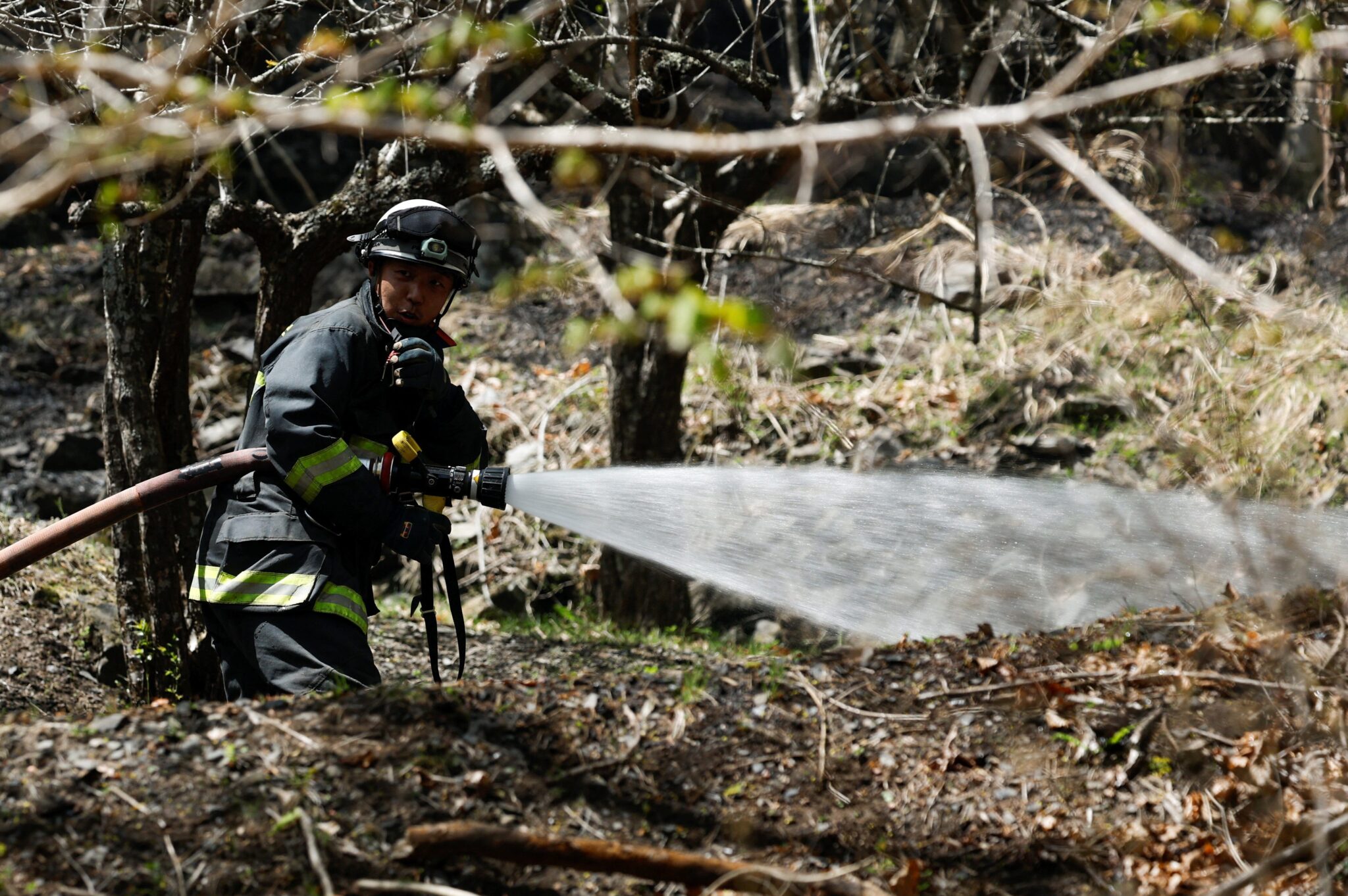 ญี่ปุ่น ระดมเจ้าหน้าที่ เร่งดับไฟป่าที่จังหวัดอิวาเตะ สั่งอพยพพันหลังคาเรือน