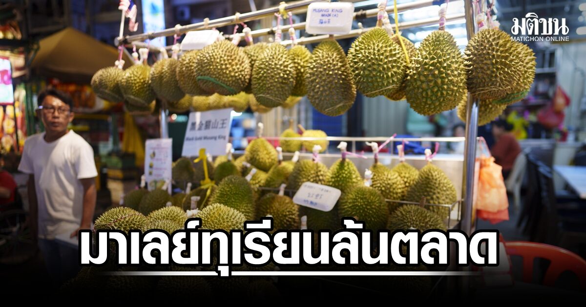มาเลย์ทุเรียนล้นตลาด พ่อค้ากระหน่ำแจกฟรี